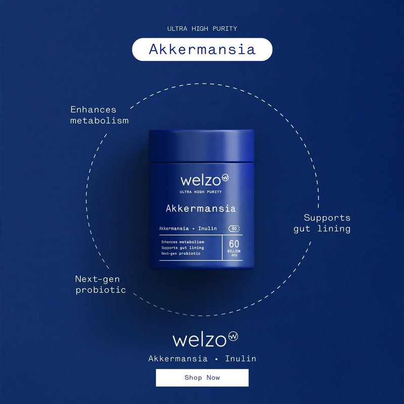 Welzo Ultra Purity Akkermansia 60 Billion AFU – Next-Gen Probiotic Supplement with Inulin & Lactobacillus – 60 Vegan Capsules for Gut Health, Metabolism & Digestive Support 1