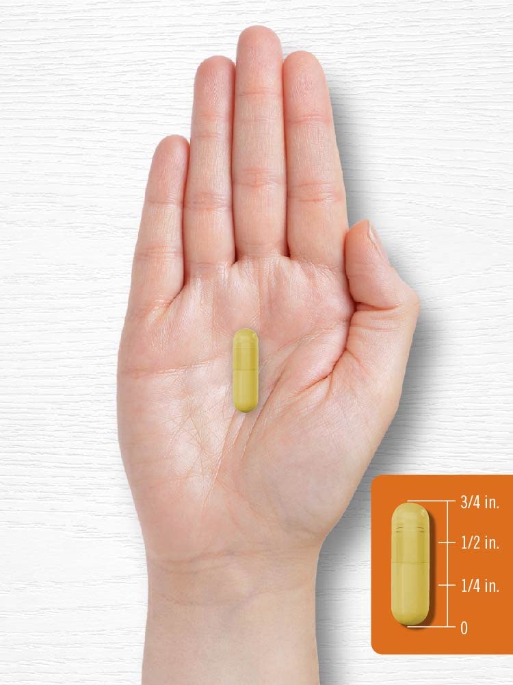 [Australia] - Carlyle Turmeric Curcumin Supplement 2400mg | 180 Powder Capsules | Herbal Complex | Non-GMO, Gluten Free Formula 