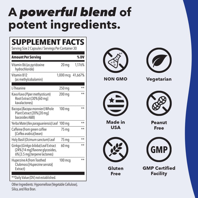 [Australia] - LifeSeasons - Focus-R - Concentration Support Supplement - All Ages - Enhances Mental Performance & Focus - Increases Attention Span - L-Theanine, Kava Kava, Bacopa, Vitamin B & More - (60 Capsules) 60 Count (Pack of 1) 