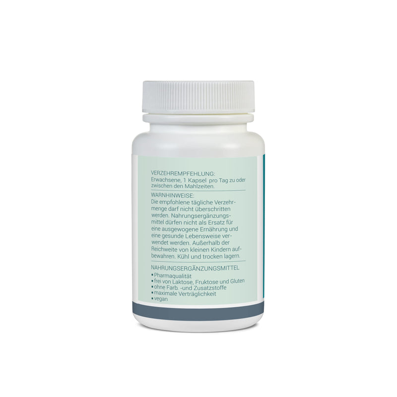 [Australia] - L-Lysine - 120 capsules (1 capsule contains: 500mg L-Lysine HCl) - Premium quality - without additives - pure and high-quality substances 