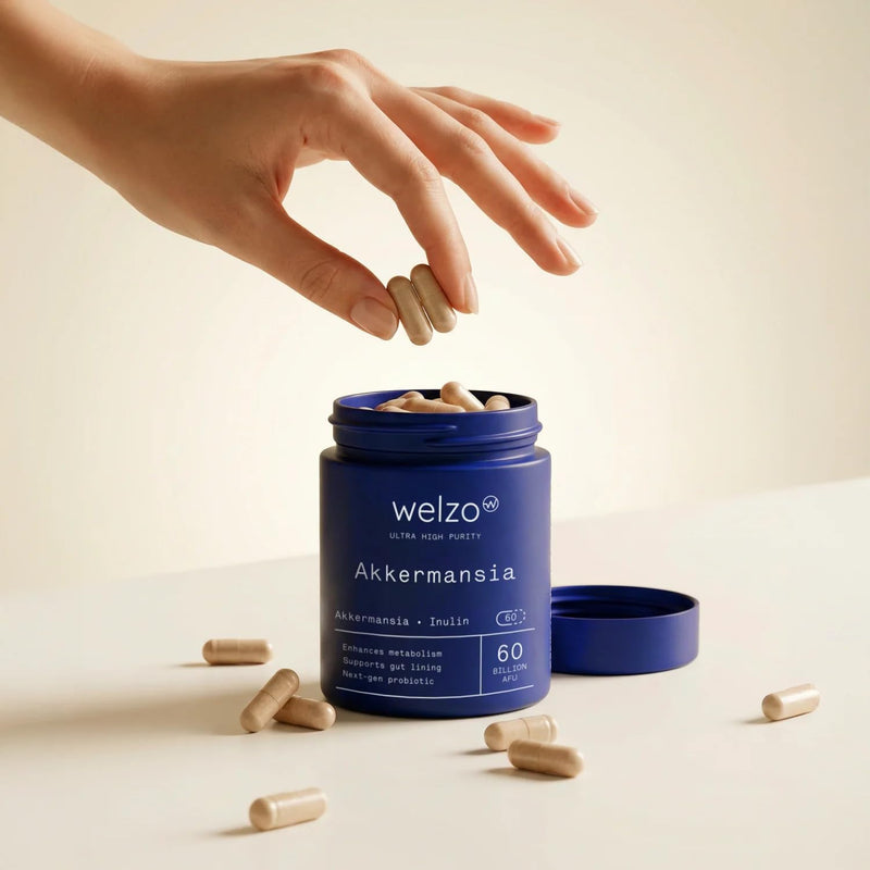 Welzo Ultra Purity Akkermansia 60 Billion AFU – Next-Gen Probiotic Supplement with Inulin & Lactobacillus – 60 Vegan Capsules for Gut Health, Metabolism & Digestive Support 1
