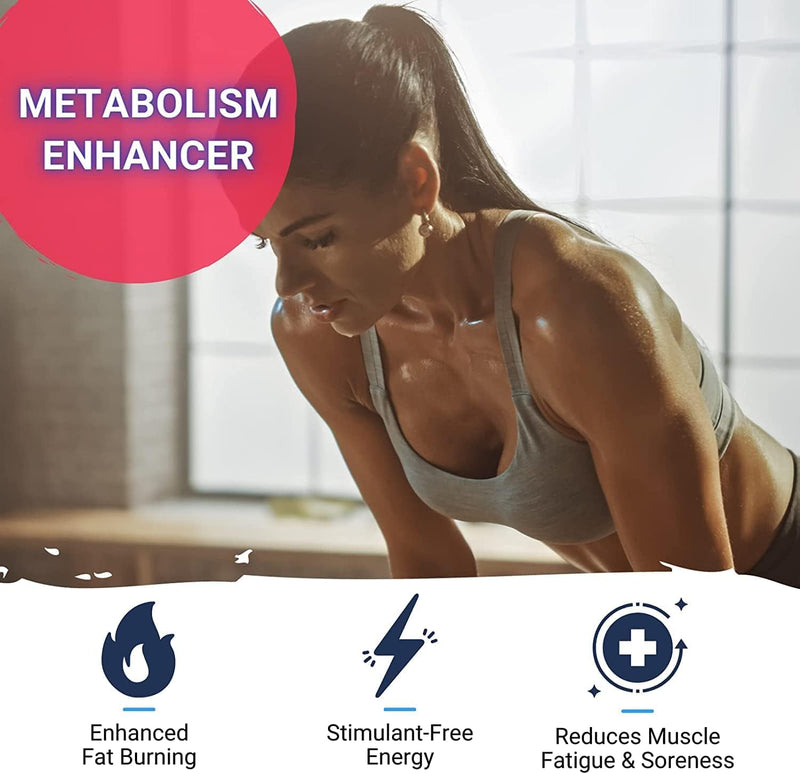 [Australia] - Gaspari Nutrition Liquid L-Carnitine 3000, Stimulant Free, Increased Metabolism, Enhanced Energy, Non GMO, Gluten Free, BPA Free (32 Servings, Orange Pineapple) 