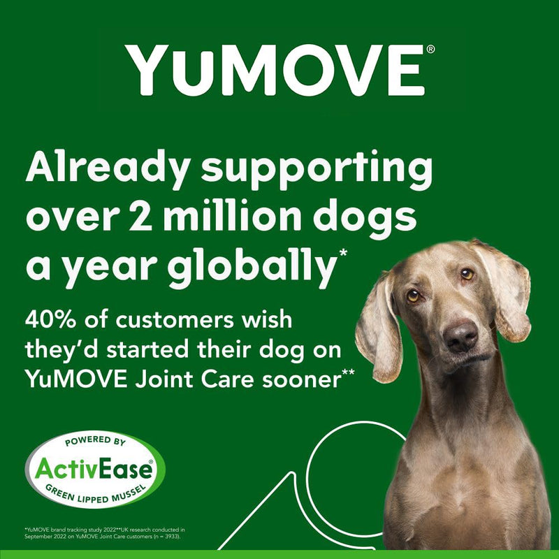 Lintbells YuMOVE Joint Supplement Dog Chews - Contains Glucosamine, Green Lipped Mussel - Natural Relief from Hip Ache, Stiff Joints - 1 Month’s Supply (Large & X-Large) Large & X-Large - PawsPlanet Australia