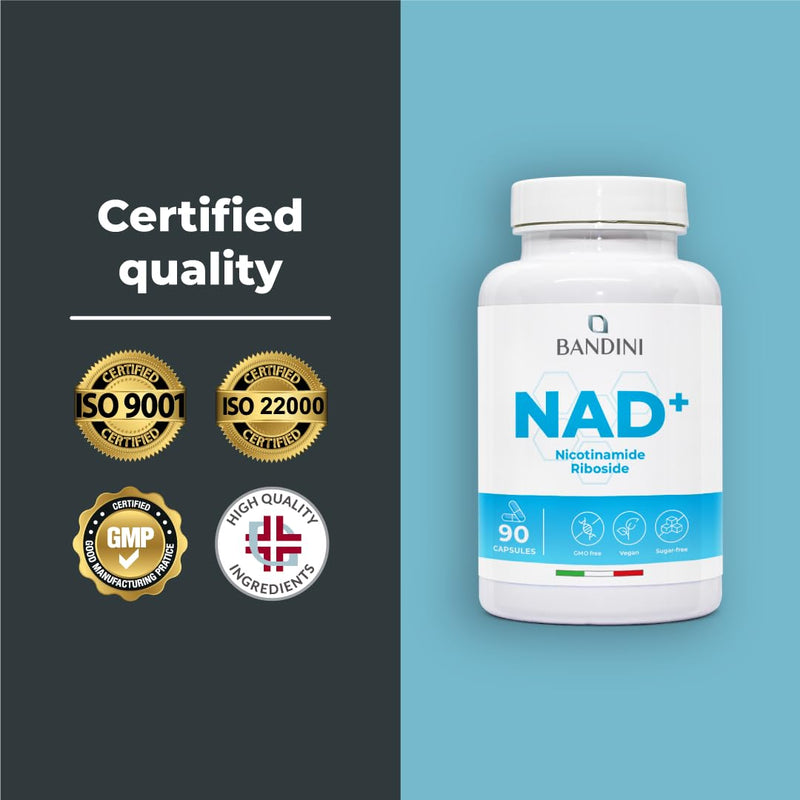 Bandini® NAD+ Supplement Nicotinamide Riboside Chloride 300 mg | 3 Months Supply | NAD Booster | Energy, Healthy Aging Support & Fatigue Reduction | 90 Vegetarian Capsules | Premium & Vegan