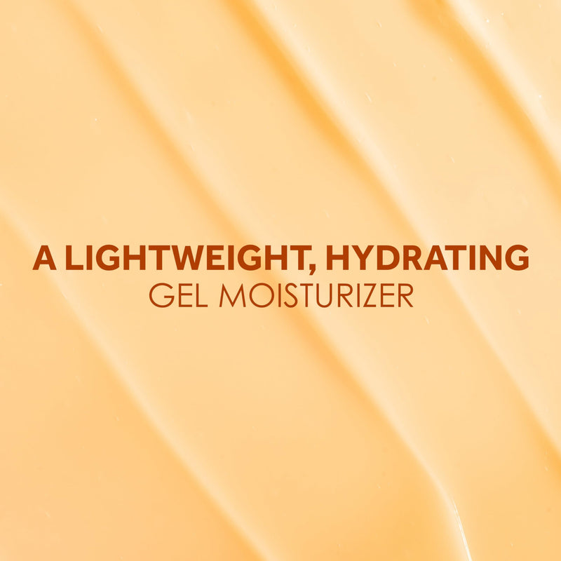 POND'S Fresh Hydration Gel Moisturizer 24 HR Hydration with Orange Extract & Vitamin C Alcohol & Oil-Free Face Moisturizer Dermatologist Tested, 3.4 oz, (Pack of 2) 3.4 Ounce (Pack of 2)