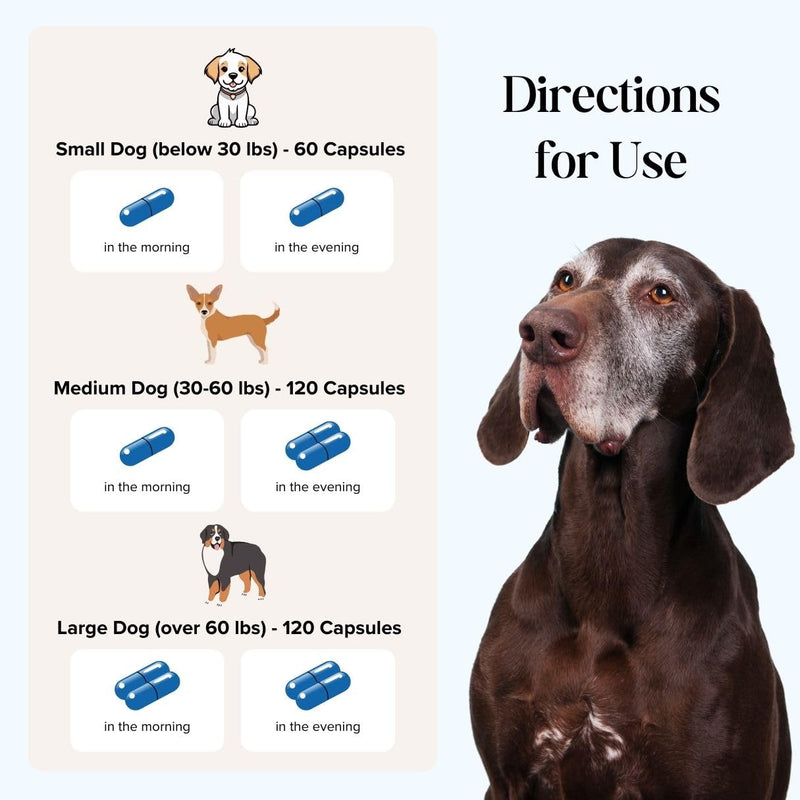 Dr. Fossum's CogniCaps Dog Cognitive Supplement – Multivitamin for Dogs Brain Health with SAM-e, Coenzyme Q10, Polygala, Curcumin – Senior Dog Supplements for Cognitive Support 30 lbs & under - PawsPlanet Australia