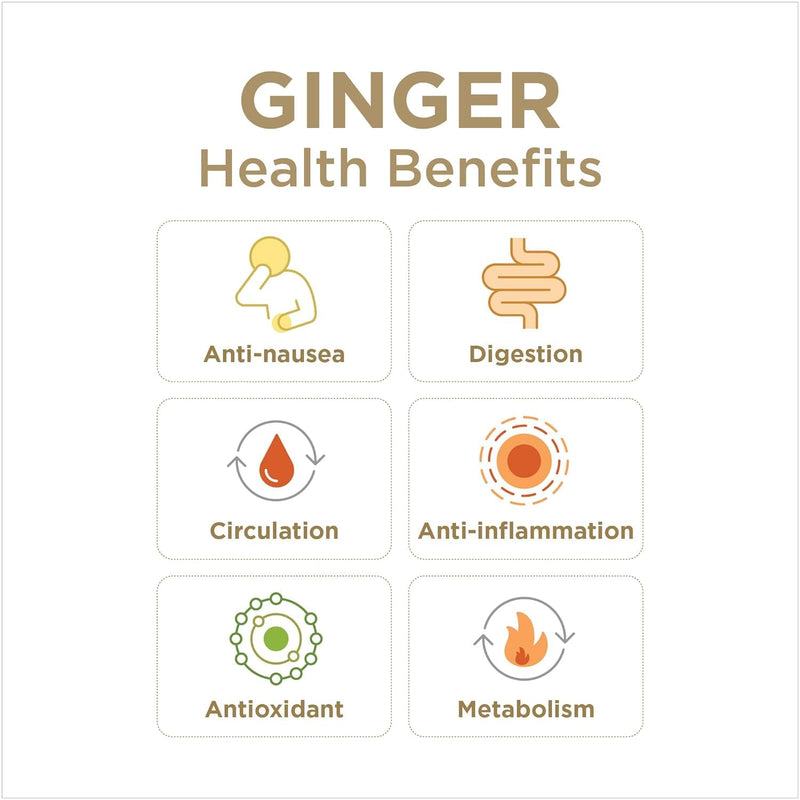 [Australia] - Ginger Rescue Chewable Tablets by The Ginger People – Drug Free Digestive Health, Chewable Tablets, Strong Ginger Flavor, 0.55 Oz, 24 Tablets, (Pack of 1) 24 Count (Pack of 1) 