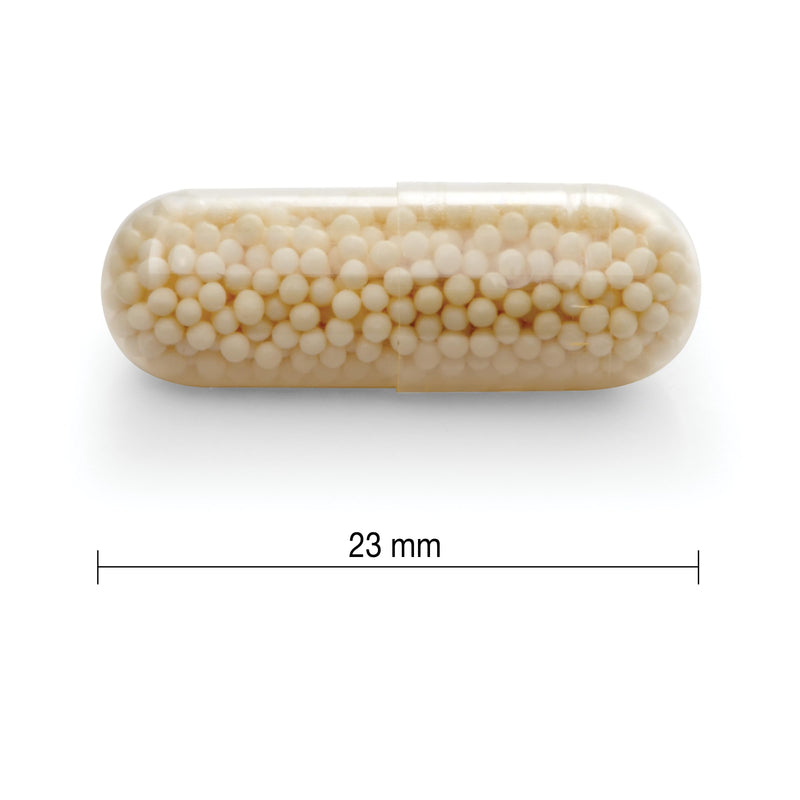 Jamieson Vitamin C 500 mg Timed Release Capsule 500mg 100 Caplets