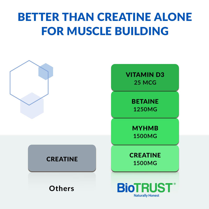 [Australia] - BioTrust Ageless Muscle Builder - Micronized Creatine Monohydrate Powder with HMB, Vitamin D3 & Betaine - Build & Preserve Naturally Declining Muscle Mass & Strength - Fruit Punch, 30 Servings 30 Servings (Pack of 1) 