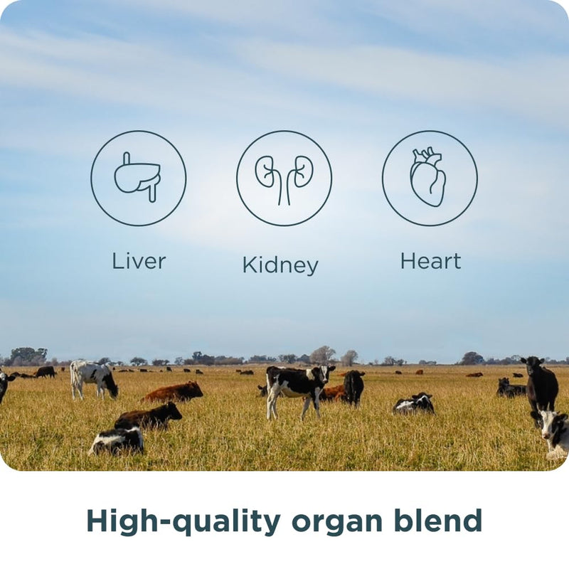 Ancient Nutrition Grass-Fed and Wild Organ Blend Tablets, Once Daily Once Daily Organ Blend