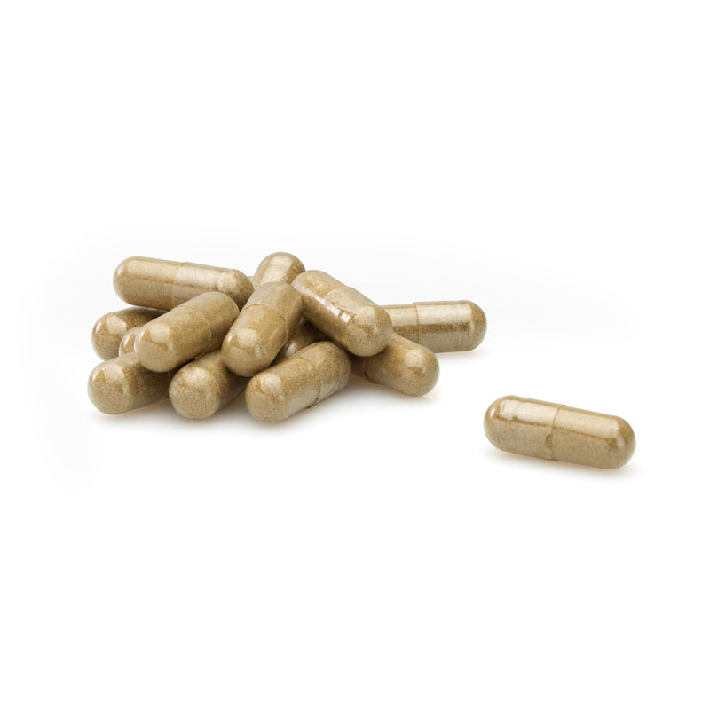 [Australia] - Nature drugstore - Sage capsules 90 pieces - Sage for menopause - Natural sage leaf powder - Relieve the symptoms of menopause - Can be opened for tea or fruit juices 