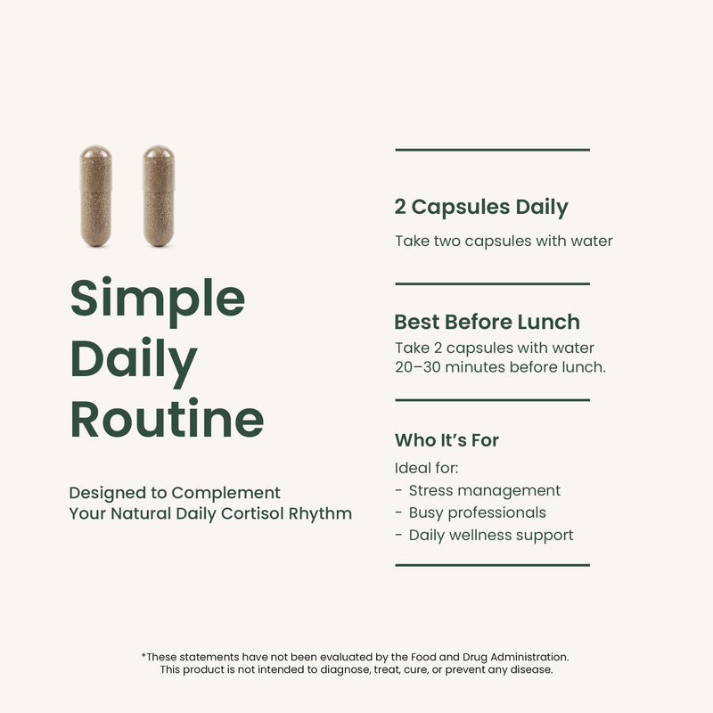Cortisol Balance Supplement – Supports Stress, Focus & Daily Energy – with Ashwagandha, Rhodiola Rosea, L-Theanine, Magnesium, Zinc & B6 – Adaptogen Formula – Vegan Capsules