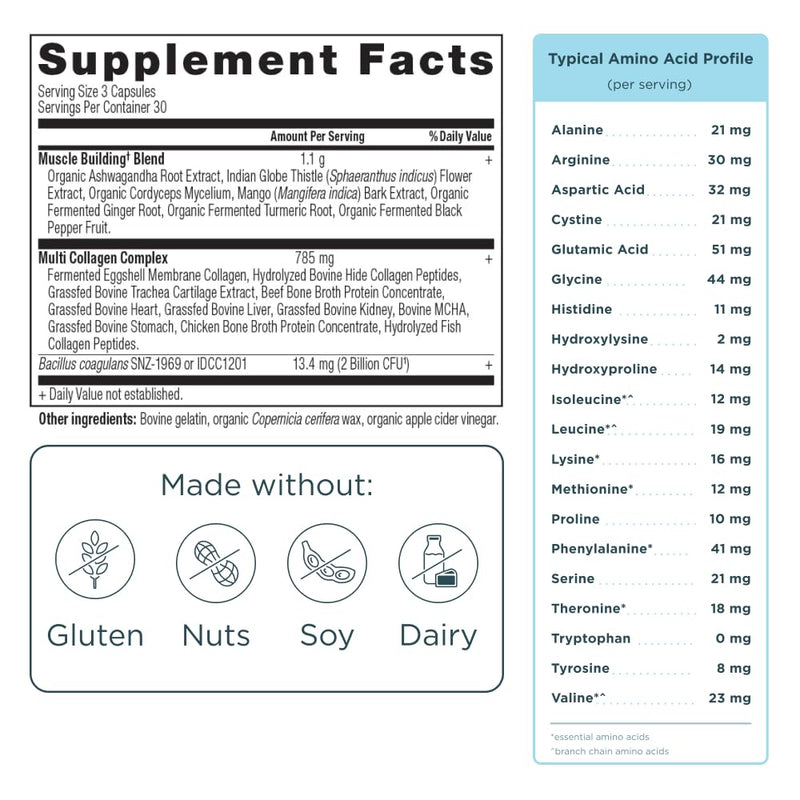 Ancient Nutrition Advanced Multi Collagen Protein Capsules Muscle, 90 Count | Women & Men, Vitamin C, Probiotics, Grass-fed Hydrolyzed Collagen, Supports Skin, Hair, Nails, Joints, Gut Health, 90 Count