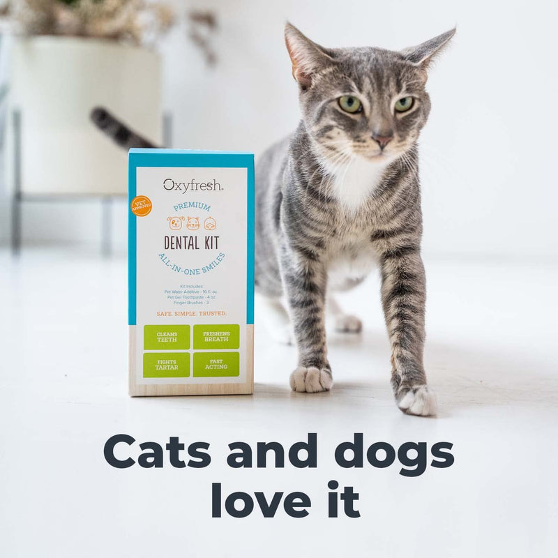Oxyfresh Premium Pet Dental Kit for Dogs & Cats – Easy Solution for Fresh Breath, Clean Teeth, Control Plaque & Tartar – Vet Formulated Pet Toothpaste 1oz + Water Additive 3oz + 3 LG Brushes Kit Small Kit