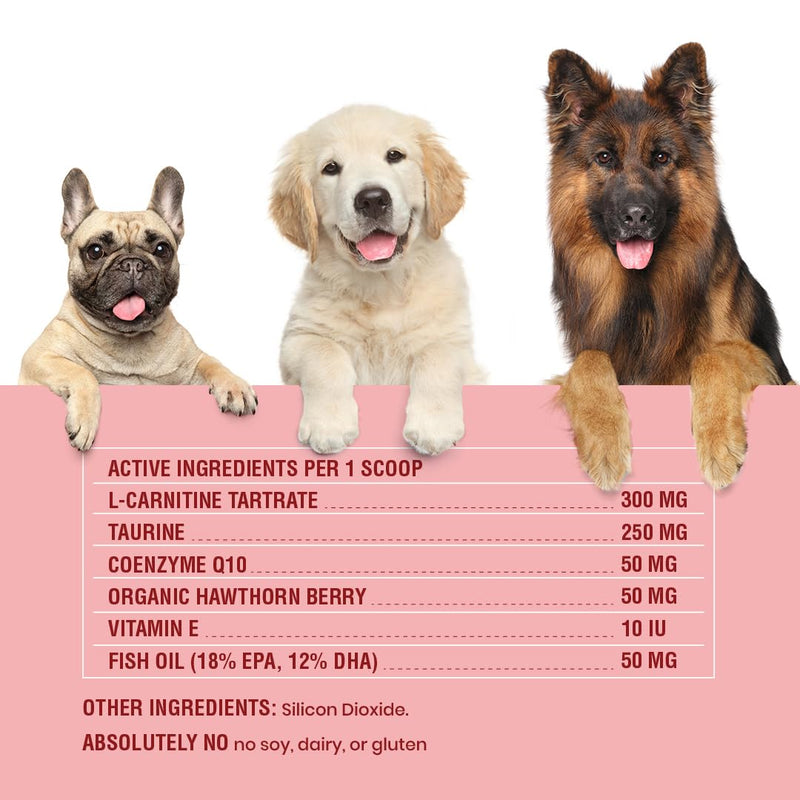 Special Breed Cardio Support for Dogs - Heart Health Support with Taurine, CoQ10, Organic Hawthorne Berry, Powder Supplement, 120 Scoops, 3.14 oz - PawsPlanet Australia