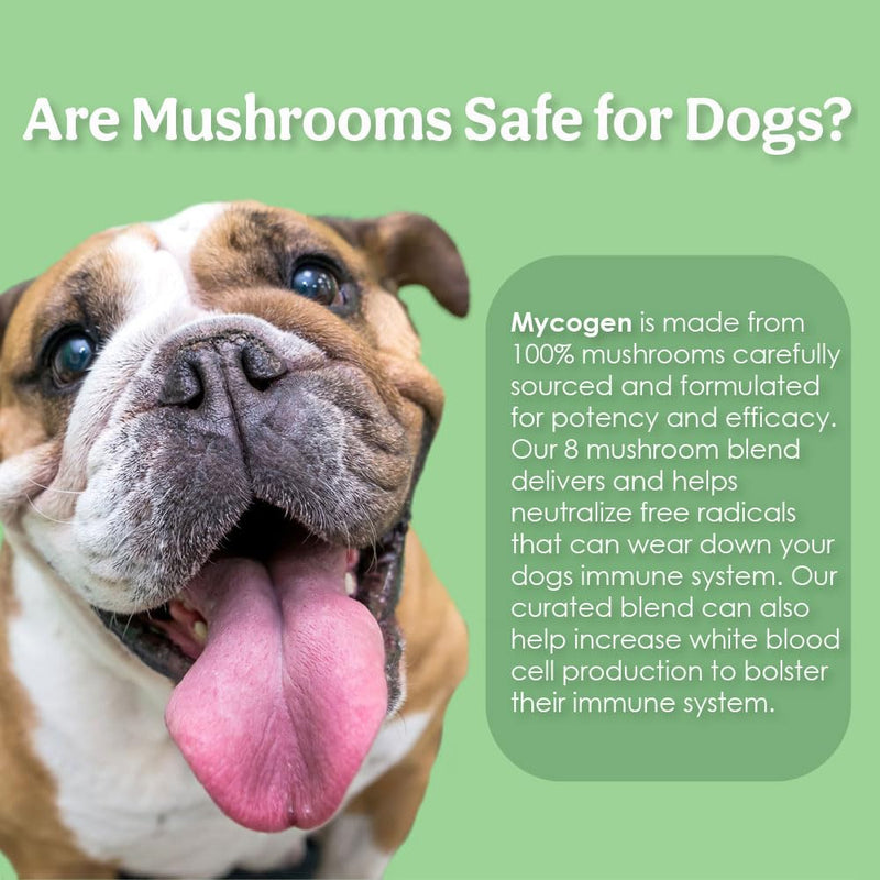 Mycogen for Dogs - Vitamins with 8 Types of Mushrooms - Support Immune System - 60 Soft Chews 1-Pack 60 chews - PawsPlanet Australia