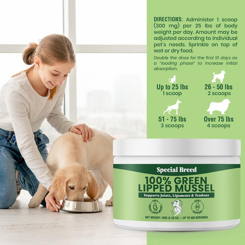 Green Lipped Mussels for Dogs & Cats - Premium Joint Supplement Powder for HIPS, Joints, and Muscles (150 Grams, Up to 500 Servings) 150 Grams - PawsPlanet Australia