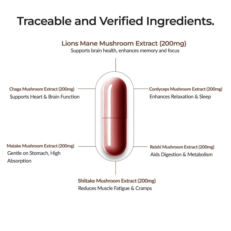 BioCuria - Premium Mushroom Complex 6 Powerful Extracts: Lion's Mane, Reishi, Chaga, Cordyceps | Supports Brain Health, Immunity & Energy | Vegan & Clean Formula (Pack of 1 (120 Capsules)) 120 count (Pack of 1)