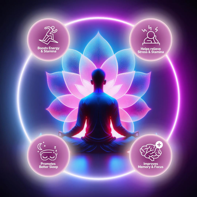 Vedic Mind Bliss- Stress Relief & Sleep Aid | 6-in-1 Ashwagandha Complex +Chamomile +Saffron & More | High Strength Ashwagandha | Anxiety Relief, Calming, Mood Lift | 60 Vegan Capsules 60 count (Pack of 1)