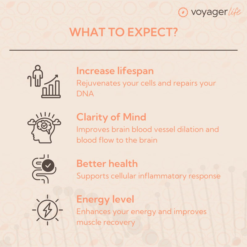 Voyager Pure NAD+ Powder Supplement | 100g Pouch – 3 Month Supply | 1g Per Serving | NAD Support for Cellular Health, Energy, Healthy Aging & Immune Support |3rd Party Tested, Non-GMO