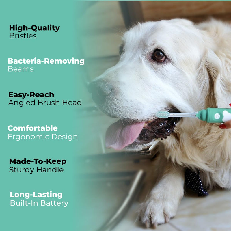 Dog Toothbrush | Innovative Eletrolytic Technology | Improves Oral Health & Reduces Bad Breath | No Vibrations & Silent Teeth Cleaning Brush | No Toothpaste Needed | Dog Teeth Cleaning Kit Green Small - PawsPlanet Australia