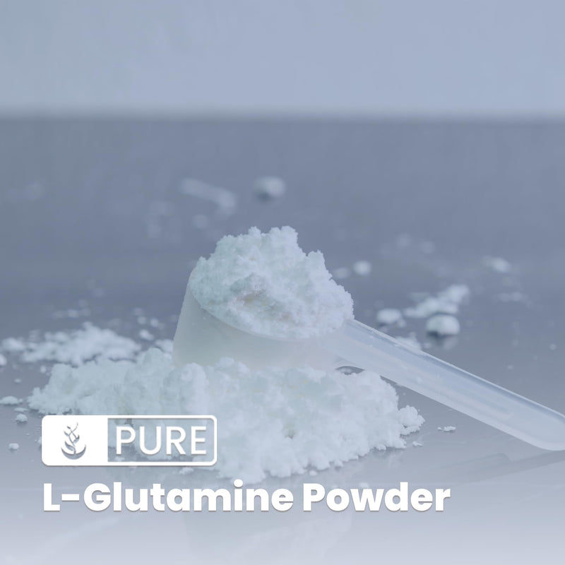 [Australia] - Pure Original Ingredients L-Glutamine (1lb) Alpha-Amino Acid Supplement Powder, Lab-Verified 1 Pound (Pack of 1) 
