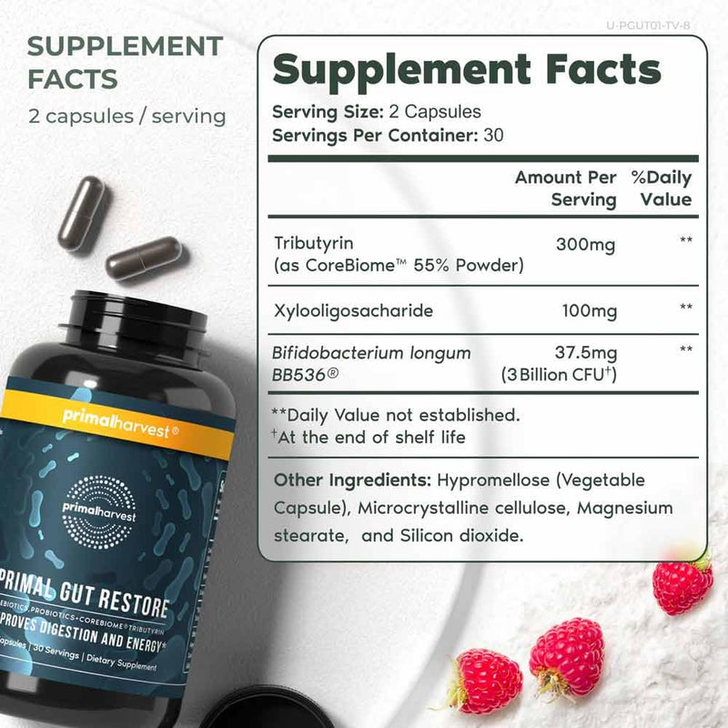 [Australia] - Primal Harvest Restore for Gut Health, Primal Gut Restore w/POSTbiotics, PREbiotics and PRObiotics for Women and Men, 60 CT - Digestion, Colon Cleanse, Immunity Support - Helps Leaky Gut Repair 60 Count (Pack of 1) 