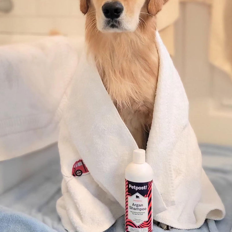 Petpost | Argan Shampoo for Dogs - Naturally Heals, Protects, & Rejuvenates Dog Dry Skin & Coat - Argan Oil and Aloe Formula 16 oz. 16oz. - PawsPlanet Australia
