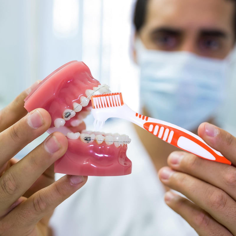 [Australia] - 2Pcs Denture Brush, Denture Cleaning Brush Set with White Carrying Case Denture Toothbrushes with Multi-Layered Soft Bristles and Rubber Anti-Slip Handle (Blue + Orange) 