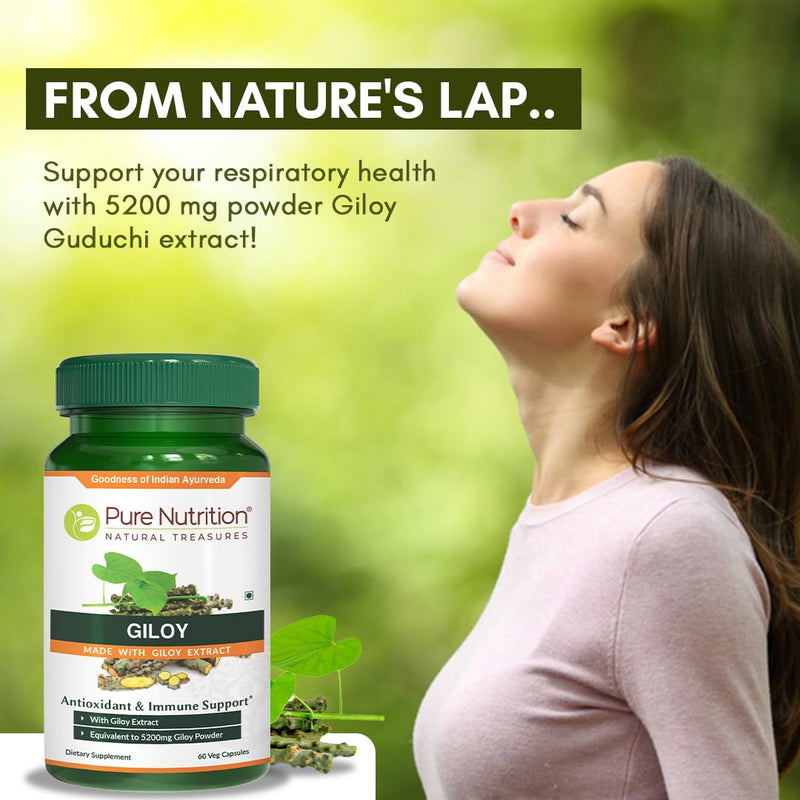 Pure Nutriton Giloy Guduchi Extract Capsule 700mg | 120 Veg Caps | Immune Health Support | 700mg Giloy Extract Equivalent to 5200mg Giloy Powder | Non GMO 120 count (Pack of 1)