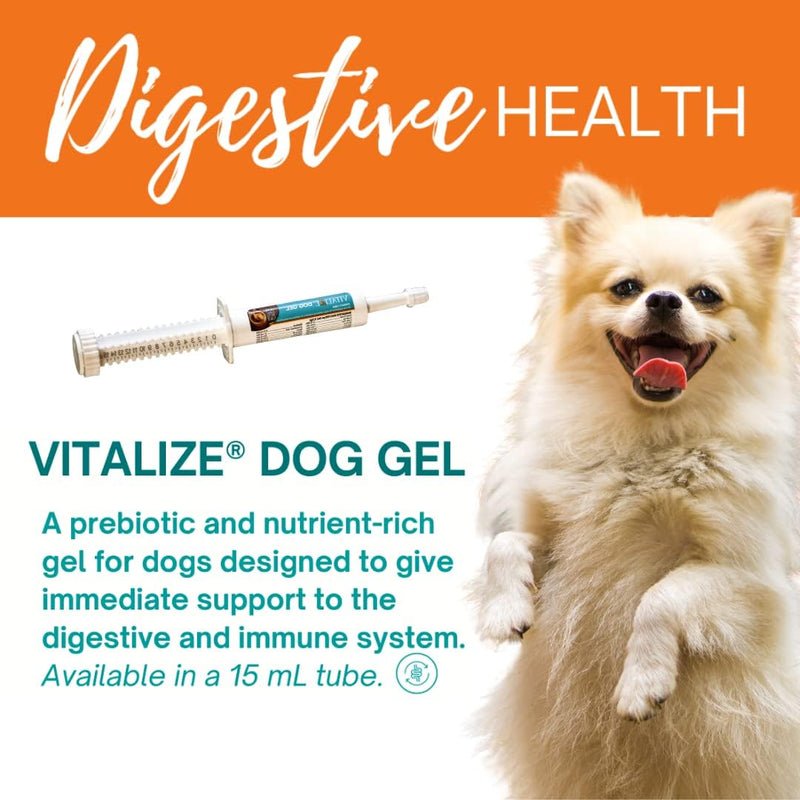Vitalize Dog Gel - After Surgery Recovery & Probiotics Alternative Immune Support Booster Supplement for Dogs Digestive & Gut Health - Liquid Gel Paste (15 ml) - PawsPlanet Australia