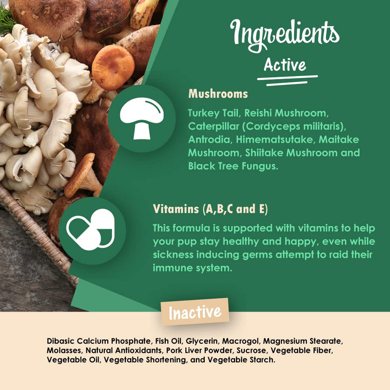 Mycogen for Dogs - Vitamins with 8 Types of Mushrooms - Support Immune System - 60 Soft Chews 1-Pack 60 chews - PawsPlanet Australia