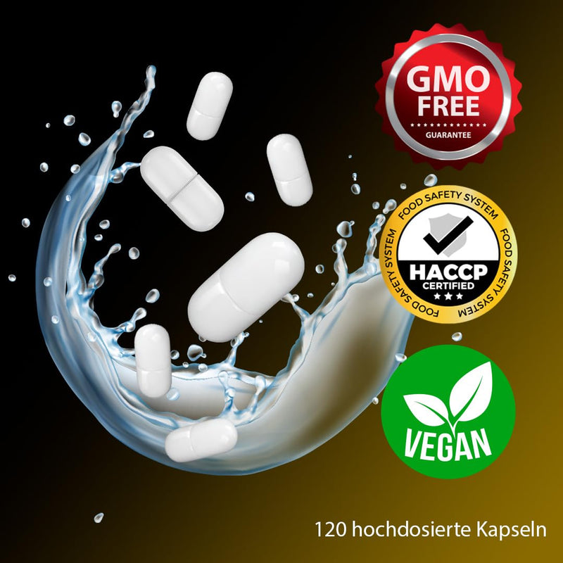 [Australia] - TRU Sports Nutrition | Acetyl-L-Carnitine - 120 capsules - 750mg Acetyl-L-Carnitine per capsule - High dosage - 100% Vegan | Manufacturing & laboratory testing in Germany 