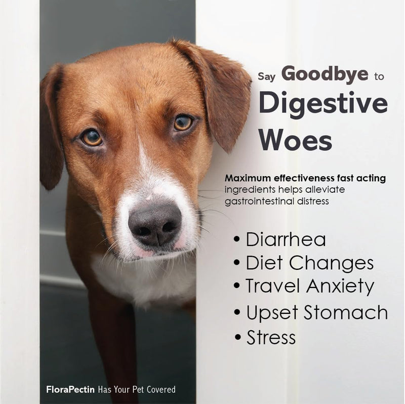 Oral Paste for Dogs & Cats-Helps Reduce Occasional Loose Stool & Diarrhea, Balance Gut pH, Support Normal Digestion & Intestinal Flora-Fast Acting (15 CC - Tasty Chicken Flavor) 15 CC - Tasty chicken flavor - PawsPlanet Australia