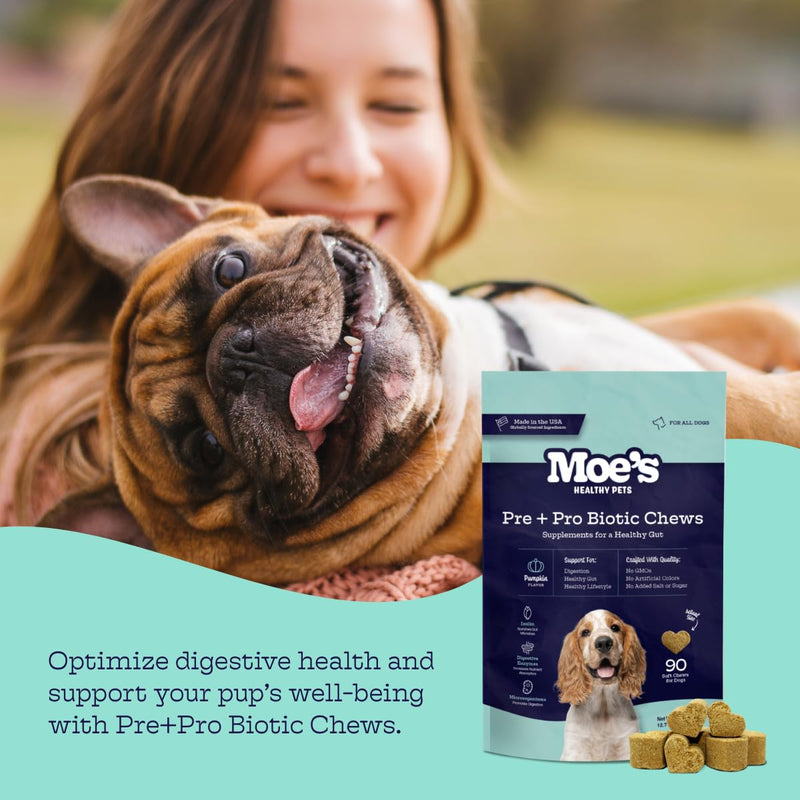 Moe's Healthy Pets Prebiotic and Probiotic for Dogs - Dog Probiotics for Digestive Health and Vitality - Probiotic Chews for Dogs with Pumpkin Flavor - Fiber Supplement for Gut Health for Dogs - PawsPlanet Australia