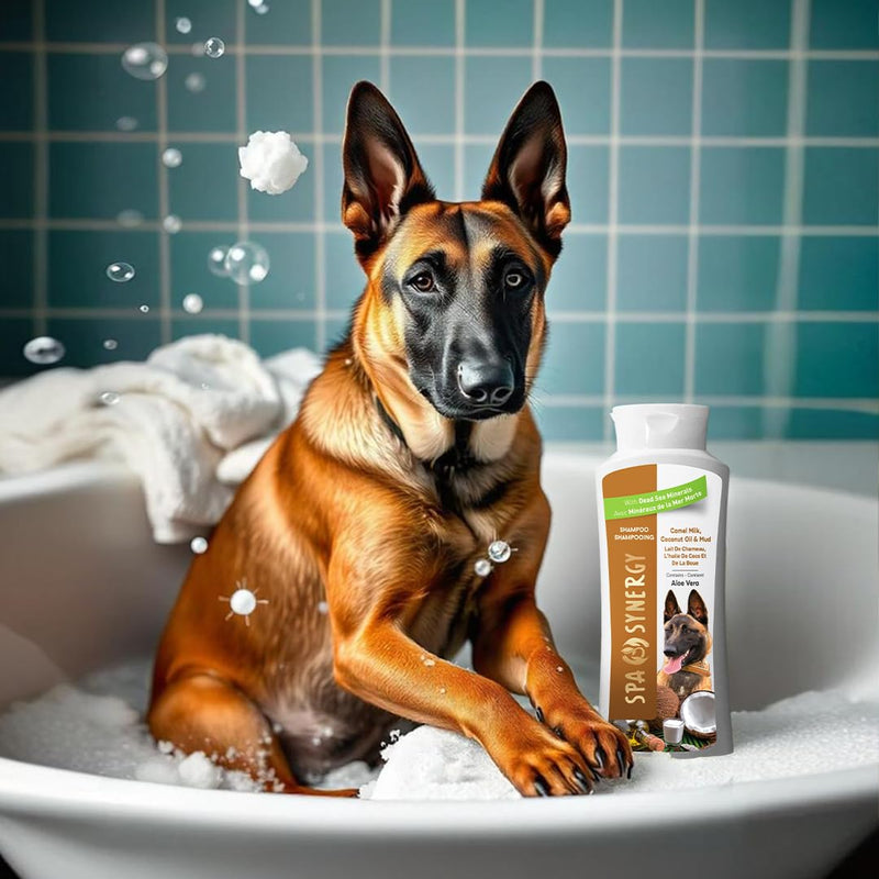 Pet Dog Shampoo Mud and Natural Dead Sea Mineral Rich, Aloe Vera & Vitamin-E, Soothing, Soften, Anti Dandruff, Cleansing- Camel Milk & Coconut Oil - (1) Bottle 16.5 FL OZ - PawsPlanet Australia