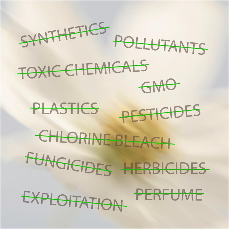 [Australia] - Oi | Organic Initiative - Ultra-Thin Pads with Wings | 100% Certified Organic Cotton, Unscented | Leak Free, Biodegradable | Non-GMO, Toxin Free (Regular/Super, 20, Count) Regular/Super 