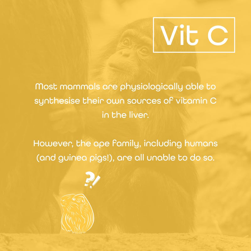 Vitamin C Powder – 250g Ascorbic Acid – 100% Pure British Pharmaceutical Grade Vitamin C - Quali-C