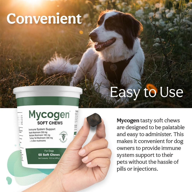Mycogen for Dogs - Vitamins with 8 Types of Mushrooms - Support Immune System - 60 Soft Chews 1-Pack 60 chews - PawsPlanet Australia