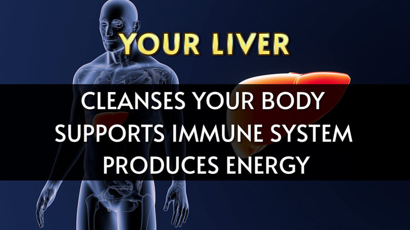 [Australia] - Liverite Liver Aid with Milk Thistle 2-Pack 150 Capsules (Total 300), Liver Support, Liver Cleanse, Liver Care, Improves Energy 