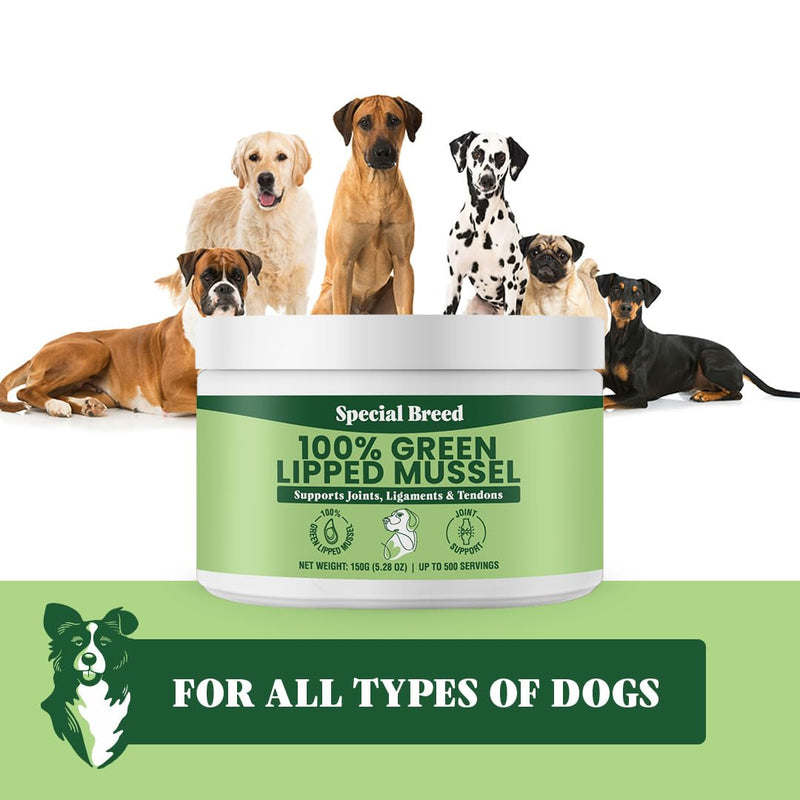 Green Lipped Mussels for Dogs & Cats - Premium Joint Supplement Powder for HIPS, Joints, and Muscles (150 Grams, Up to 500 Servings) 150 Grams - PawsPlanet Australia