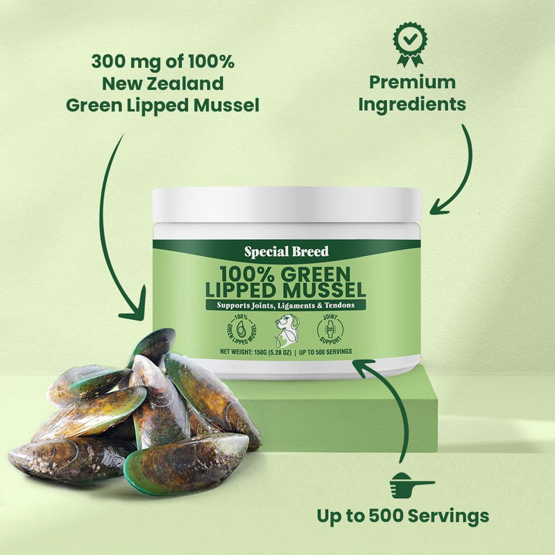 Green Lipped Mussels for Dogs & Cats - Premium Joint Supplement Powder for HIPS, Joints, and Muscles (150 Grams, Up to 500 Servings) 150 Grams - PawsPlanet Australia