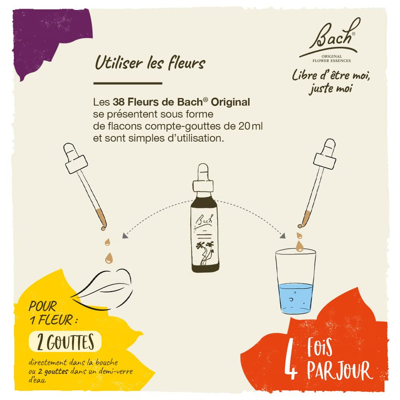 [Australia] - Bach Original Flower Remedies, Willow for Forgiveness, Natural Homeopathic Flower Essence, Holistic Wellness, Vegan, 20mL Dropper 0.68 Fl Oz (Pack of 1) 