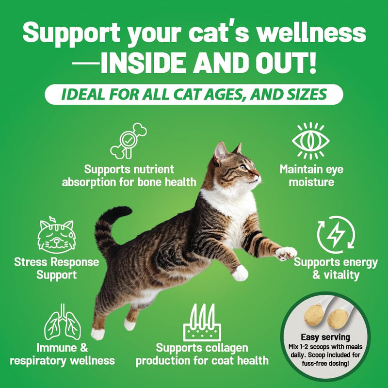 [Australia] - Guardian‚Äôs Choice 250mg L-Lysine for Cats, Advanced Immune Support for Respiratory, Eye & Nose Health, Chicken Liver Flavored Lysine Powder for Kittens & Seniors, 200 Servings 