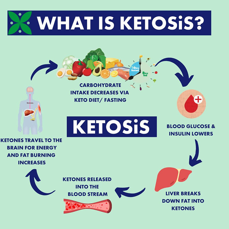 [Australia] - Adonis Ketonis Keto test strips (100 strips) | Laboratory Tested High Quality Keto Sticks | Test on the go | Convenient, simple and easy to use | Ideal for testing at work, at home or 