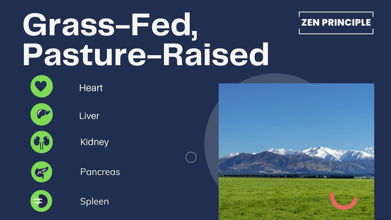 [Australia] - Zen Principle Grass Fed Beef Organs - Desiccated Liver, Heart, Kidney, Pancreas, Spleen, Intestine, Tripe/Stomach. Beef Organ Supplements 2-Pack 