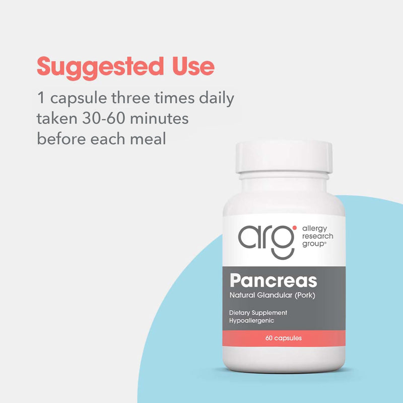 [Australia] - Allergy Research Group Pancreas Pork Supplement - Pancreas Natural Glandular, 425mg Pancreatic Enzymes, Digestive Enzymes Amylase, Protease - 60 Count 60 Count (Pack of 1) 
