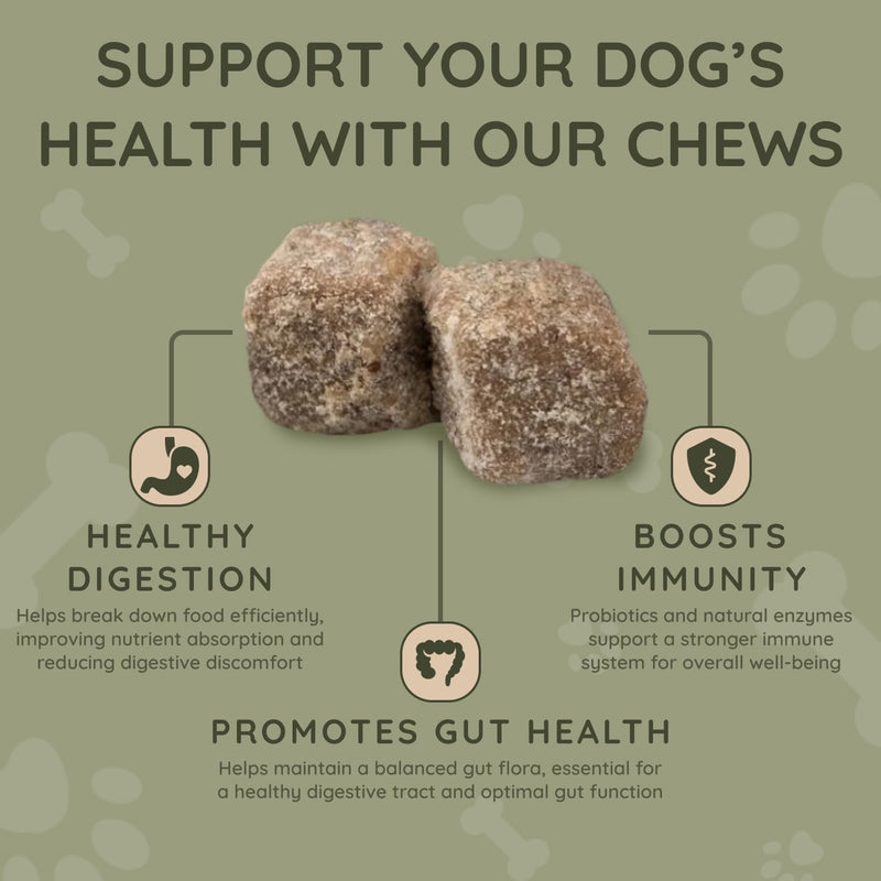 Asher House Wellness Probiotics Digestive Chew for Dogs - Dog Probiotic, Digestive Enzymes for Gut Health & Digestion - Pet Chews for Diarrhea, Upset Stomach, Allergies, Itchy Skin Relief, 120 Chews - PawsPlanet Australia