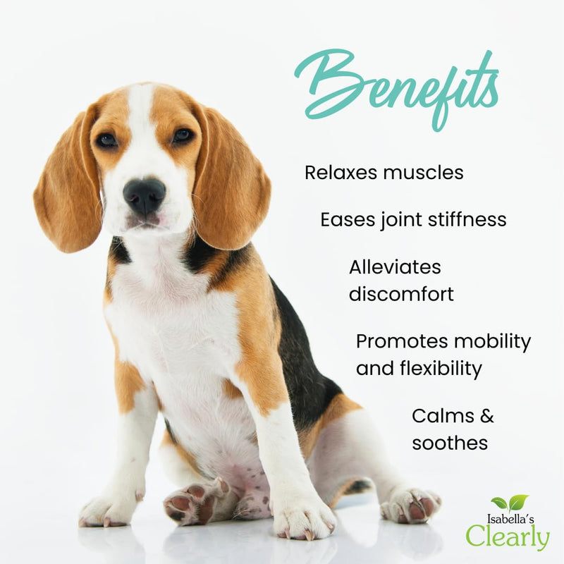 HIP & JOINT Massage Oil for Dogs with Flax Seed and Turmeric Oils | Pet Safe Essential Oils Support Mobility, Flexibility, Ease Tension and Discomfort - Vegan Pet Product Made in USA - PawsPlanet Australia