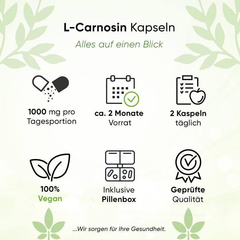 [Australia] - BIOTARY L-Carnosine 100 capsules, 1000 mg daily portion, including pill box, 100% vegan, high dosage and no additives, high bioavailability, laboratory tested, Made in Germany 100 pieces (pack of 1) 